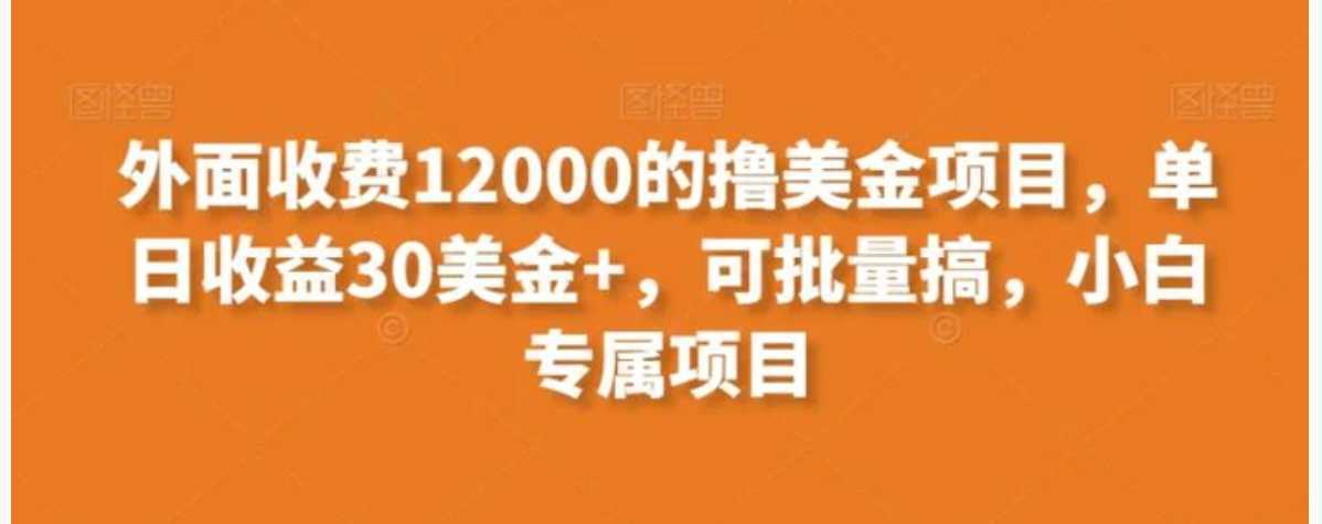 外面收费12000的撸美金项目,单日收益30美金+,可批量搞,小白专属项目