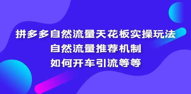 拼多多自然流量天花板实操玩法:自然流量推荐机制,如何开车引流等等