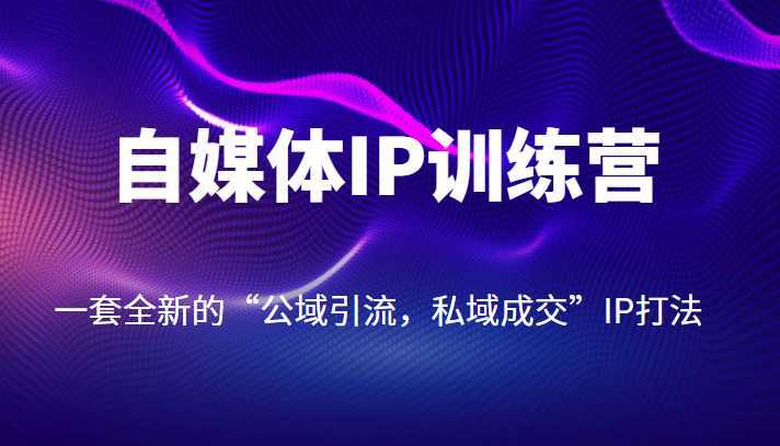 自媒体IP训练营【14期】,一套全新的“公域引流,私域成交”IP打法