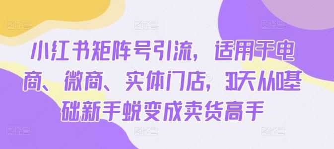 小红书矩阵号引流,适用于电商、微商、实体门店,30天从0基础新手蜕变成卖货高手