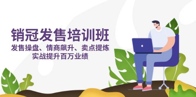 销冠发售培训班:发售 操盘+情商 飙升+卖点 提炼,实战提升百万业绩