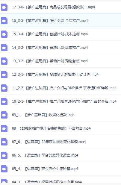 京东运营解析与数据化推广系列课，全维度讲解京东运营逻辑+数据化推广提升