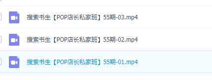 京东店长POP班【第55期】，京东搜推与爆款打造技巧，站内外广告高ROI投放打