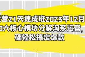 淘系运营21天速成班2023年12月完整版,10大核心模块分解淘系运营,0基础轻松搞定爆款