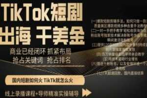 TikTok短剧出海干美金,商业已经闭环抓紧布局,抢占关键词抢占排名
