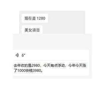 东哲·短视频男女搭档变现，立刻做立刻赚一劳永逸的私域成交项目