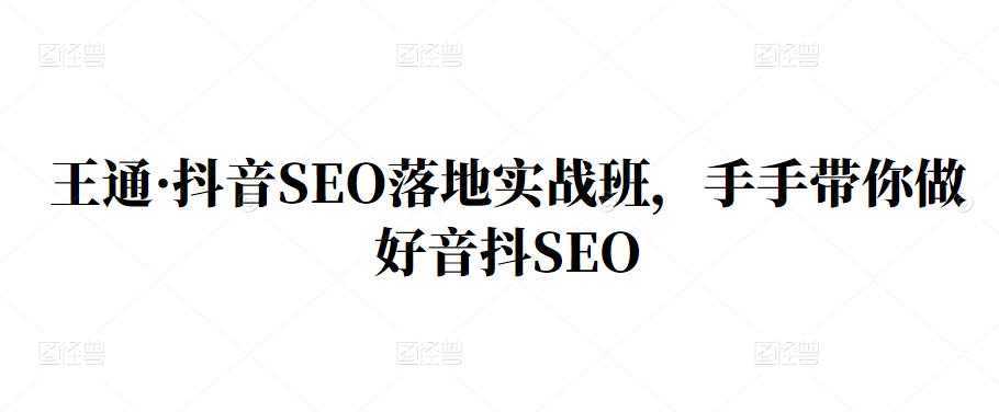 王通·抖音SEO落地实战班，手‬手带你做好音抖‬‬SEO