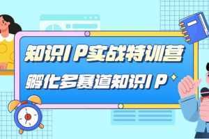 知识IP实战特训营，孵化多赛道知识IP