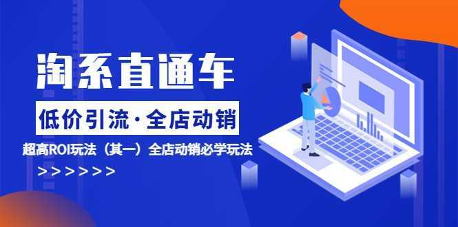 淘系直通车《低价·引流 全店·动销》超高ROI玩法全店动销必学玩法