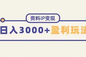 资料IP变现，能稳定日赚3000起的持续性盈利玩法