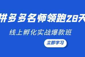 领跑2022-拼多多名师线上领跑28天,线上孵化实战爆款班