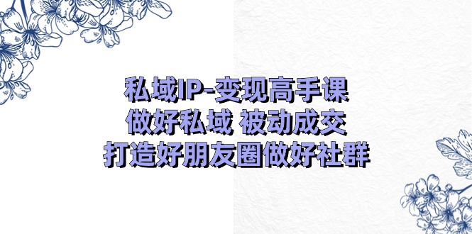 私域IP变现高手课：做好私域被动成交，打造好朋友圈做好社群