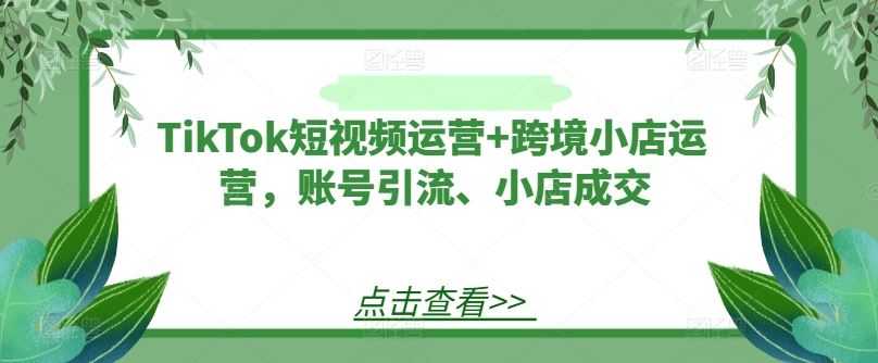TikTok短视频运营+跨境小店运营，账号引流、小店成交