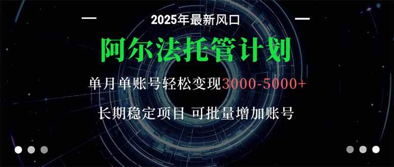 阿尔法托管计划 单账号月入3000-5000，长期稳定项目，新手小白轻松上手。