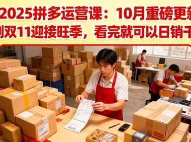 2025拼多多运营课：10月重磅更新：冲刺双11迎接旺季，看完就可以日销千单